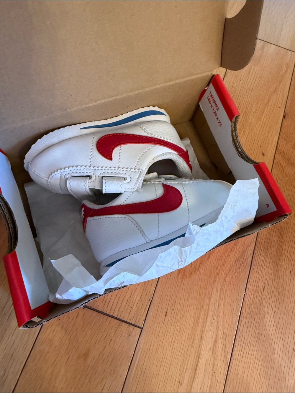 Nike Cortez Basic SL (TD) Toddler's Shoes